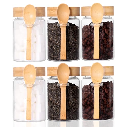 Glass Jar with Screw Lid and Spoon (6 Count)