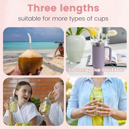 Anti Wrinkle Straw 6 Pcs for Stanley (6 Count)