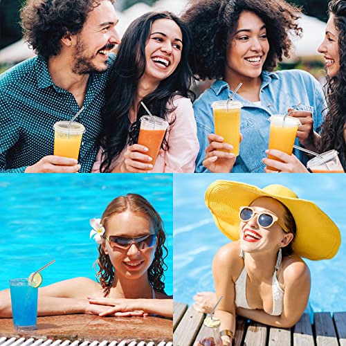 6 Pcs Reusable Stainless Steel Metal Straws & Cleaning Brush (6 Count)