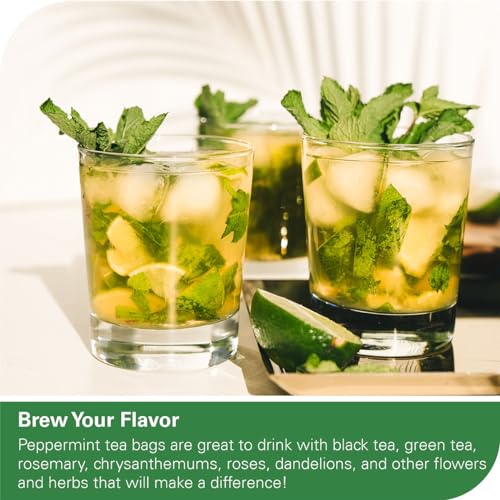 Peppermint Tea Bags 100 Count