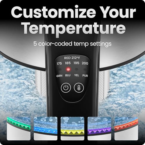 Electric Kettle with Temperature Control