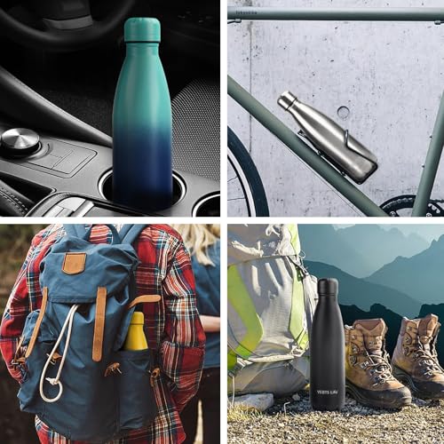 Insulated Water Bottle (2 Count)