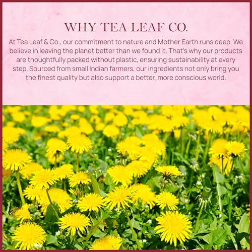 Tealeaf & Co. Dandelion Root Tea with Dried Dandelion Root Extract (7.055 Ounce)