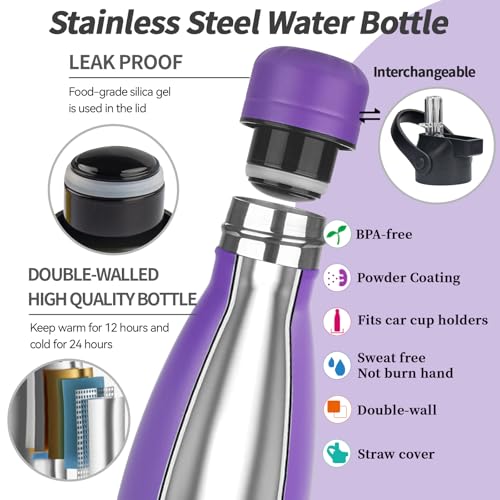 Insulated Water Bottle