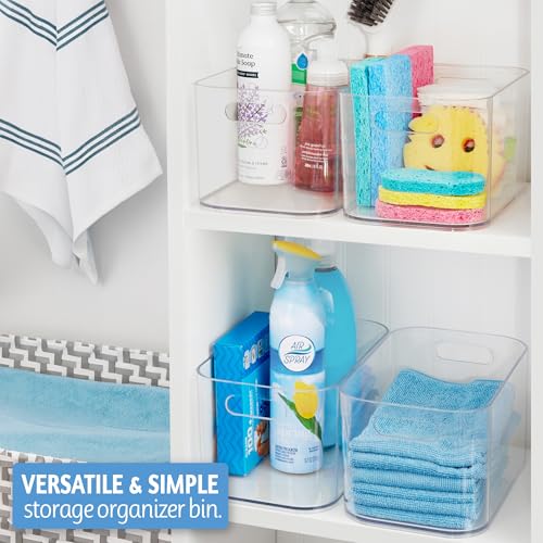 Bliss 10" x 6" Open Clear Pantry Organizer Bin