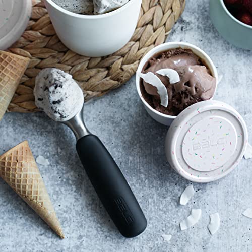 8oz Mini Ice Cream Containers (4 Count)