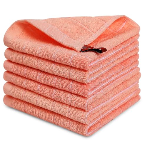 100% Cotton Terry Kitchen Dish Cloths (6 Count)