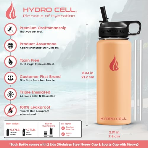 Stainless Steel Insulated Water Bottle with Straw