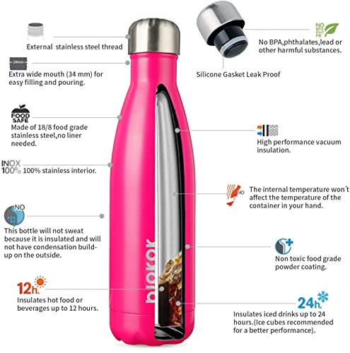 17 oz Insulated Water Bottle