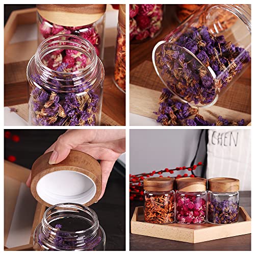 3 Packs Glass Food Storage Jars with Screw Airtight Seal Acacia Wood Lids