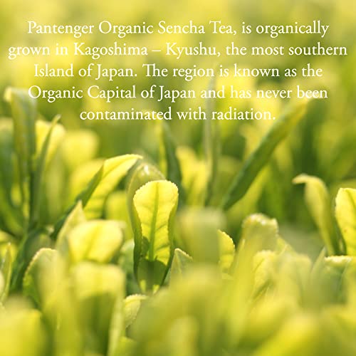 Sencha Green Tea (3 Ounce)