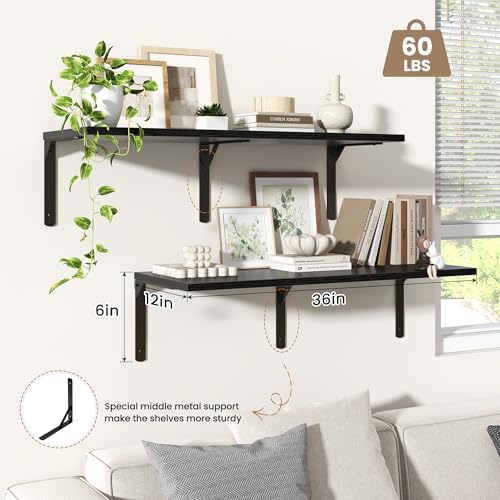 Floating Shelves for Wall (2 Count)