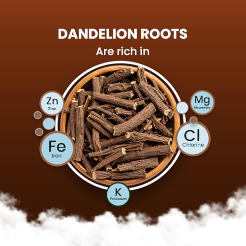 Dandelion Root Tea (100 Count)