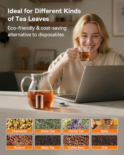 2 Pack Tea Strainers for Loose Tea (2 Count)