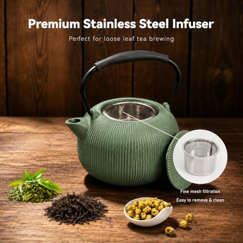 Cast Iron Teapot Set with 2 Cups