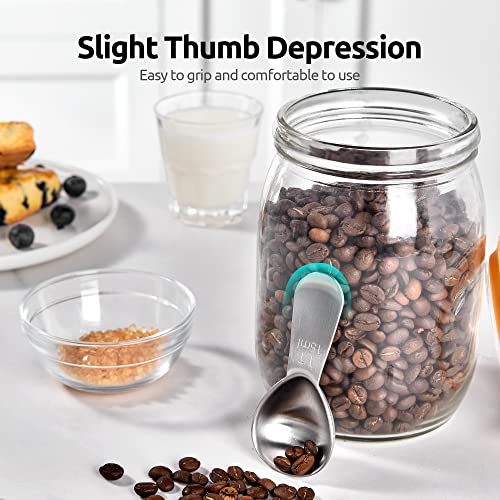 18 8 Stainless Steel Coffee Scoop (2 Count)