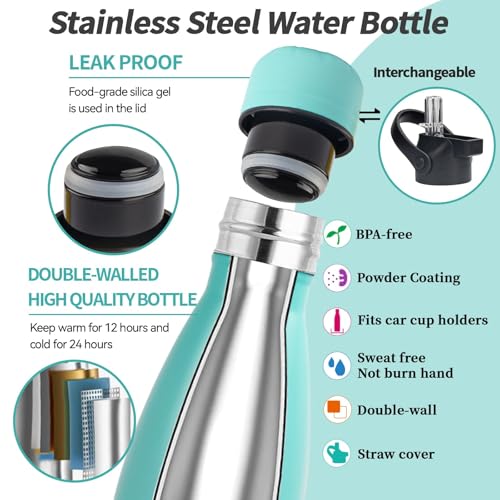 Insulated Water Bottle (2 Count)