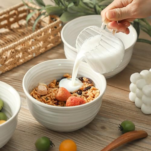 Ceramic Soup Bowls Set of 6 (6 Count)