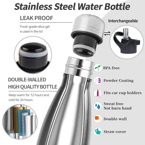 Insulated Water Bottle (2 Count)