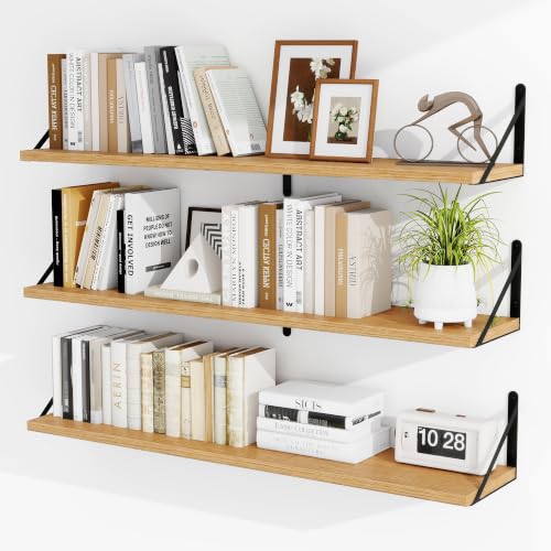 Floating Book Shelves for Wall