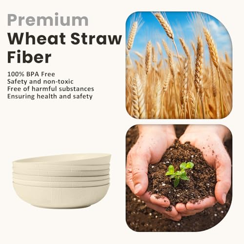 65 oz Large Salad Bowls Wheat Straw Big Bowls 10 inch Serving Bowls Wheat Straw Plates Bowl Set of 6 Wide and Shallow Bowl for Kitchen Dishwasher Safe