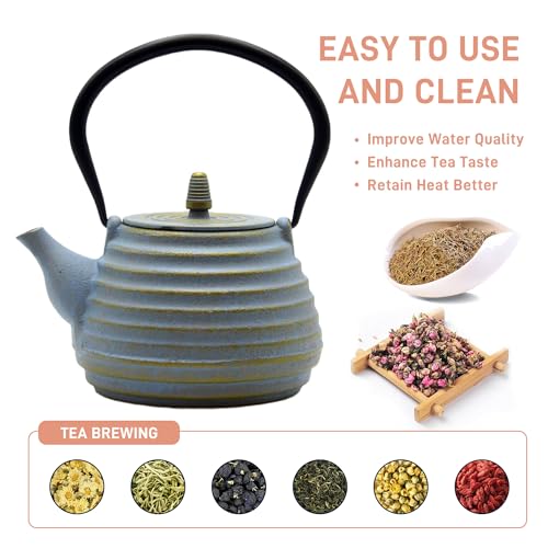 33.8oz Cast Iron Teapot for Stovetop