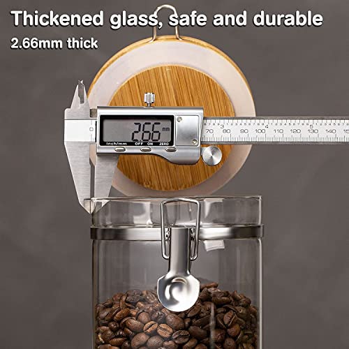 Coffee Container with Shelf (2 count)