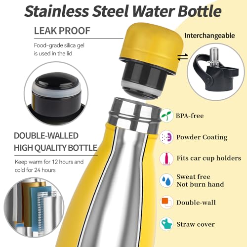 Insulated Water Bottle