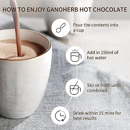 Mushroom Hot Chocolate Mix with Reishi (11.1 Ounce)