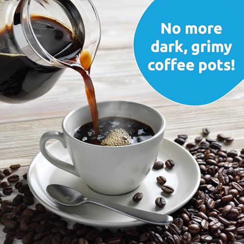 Coffee Equipment Cleaner (48 Ounce)