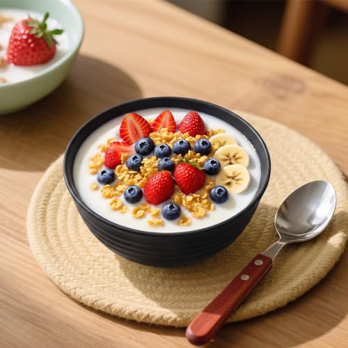 26oz Cereal Bowls Set of 6