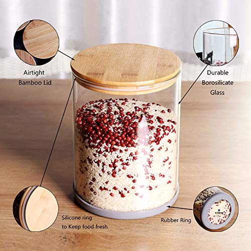 Large Glass Food Storage Container