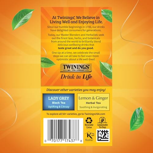 Earl Grey Extra Strong Black Tea Individually Wrapped Bags (120 Count)
