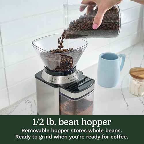 Electric Burr Coffee Grinder