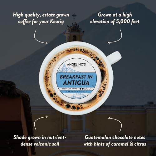 Breakfast in Antigua Coffee Pods (24 Count)