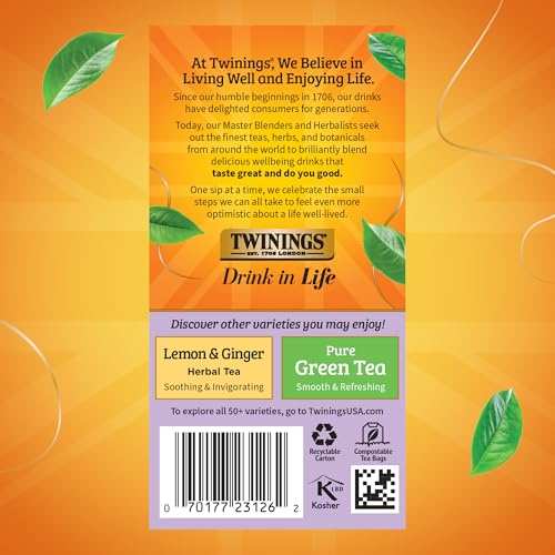 Wild Berries Herbal Tea Bags (120 Count)