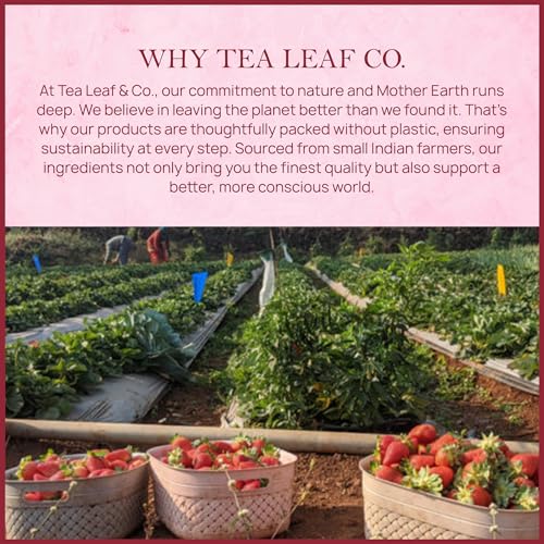 Tealeaf & Co. Strawberry Hibiscus Tea Bags Blended with Fresh Herbs and Spices (7.055 Ounce)