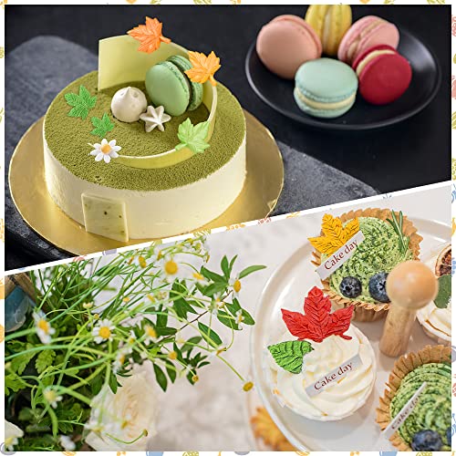 5 Packs Leaf Mold Leaf Silicone Mold Cake Leaves Maple Fondant Resin Tree Leaves Shape Molds for Cake Decorations