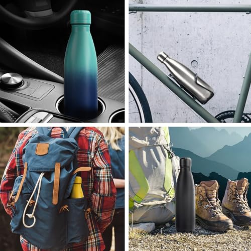 Insulated Water Bottle (2 Count)