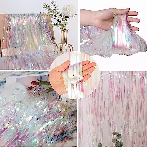Iridescent Fringe Backdrop (2 Count)