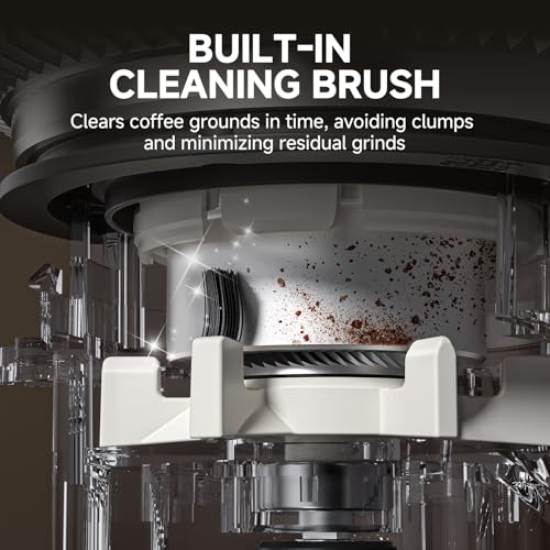 Burr Coffee Grinder