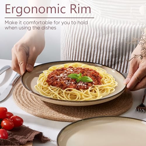 Ceramic 10.43 Inch Dinner Plates Set of 4 (4 Count)