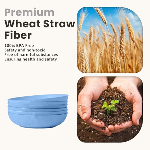 Wheat Straw Big Bowls Salad Bowl Set of 6 10 inch Serving Bowls 65 oz Large Plastic Plates Bowls Wide and Shallow Bowl for Kitchen Microwave & Dishwasher Safe