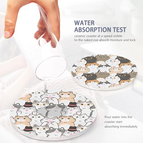 Drink Coasters Set of 6 with Holder