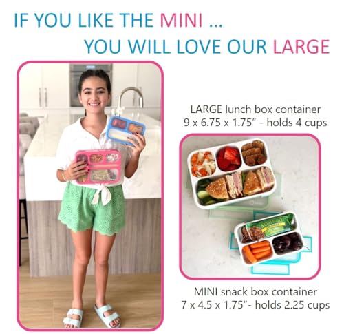 Small Snack Box Containers Kids Toddlers (2 Count)