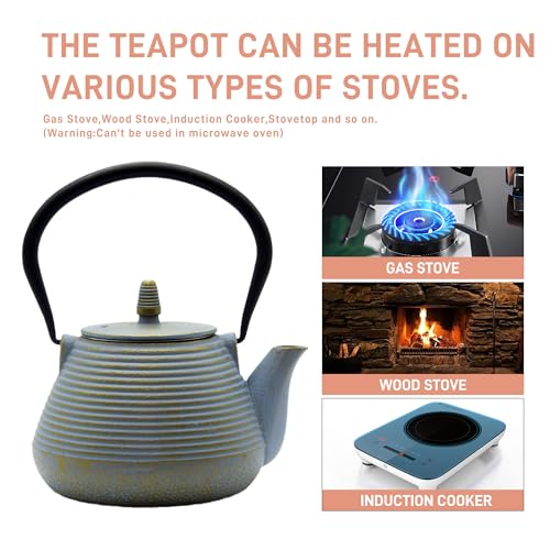 Teapot with Stainless Steel Infuser for Loose Tea
