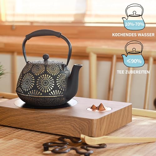 Cast Iron Teapot