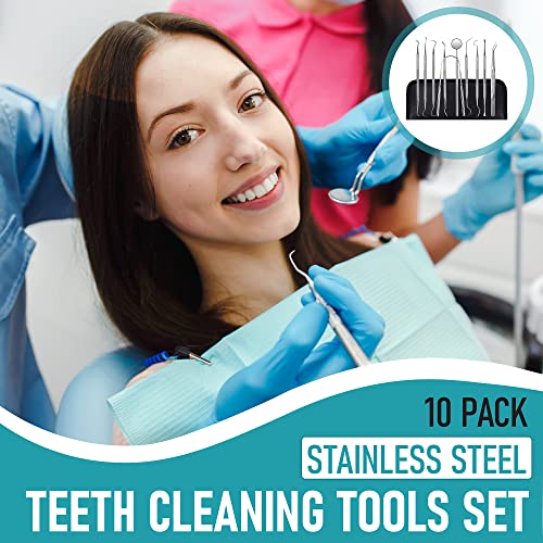 Dental Kit Tools (10 Count)