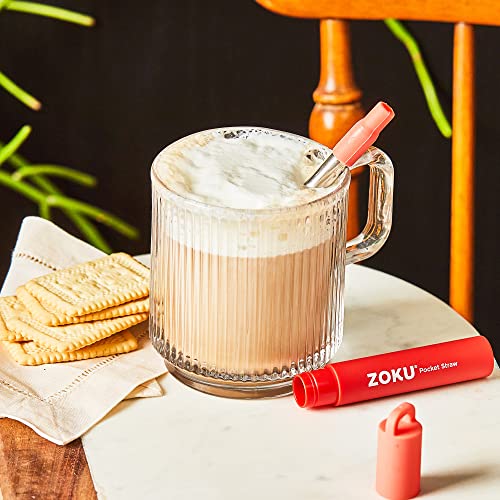 Reusable Metal Straw with Case