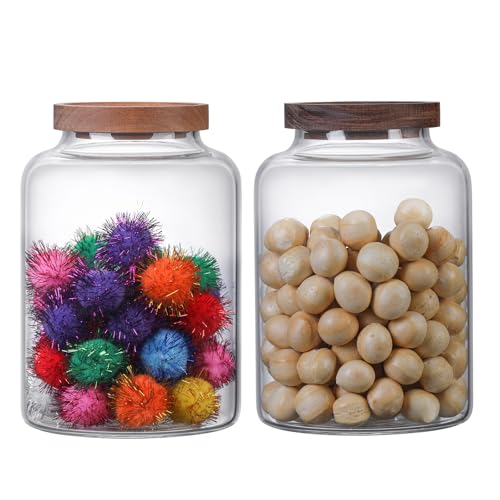 Large Glass Jar with Lid Set of 2